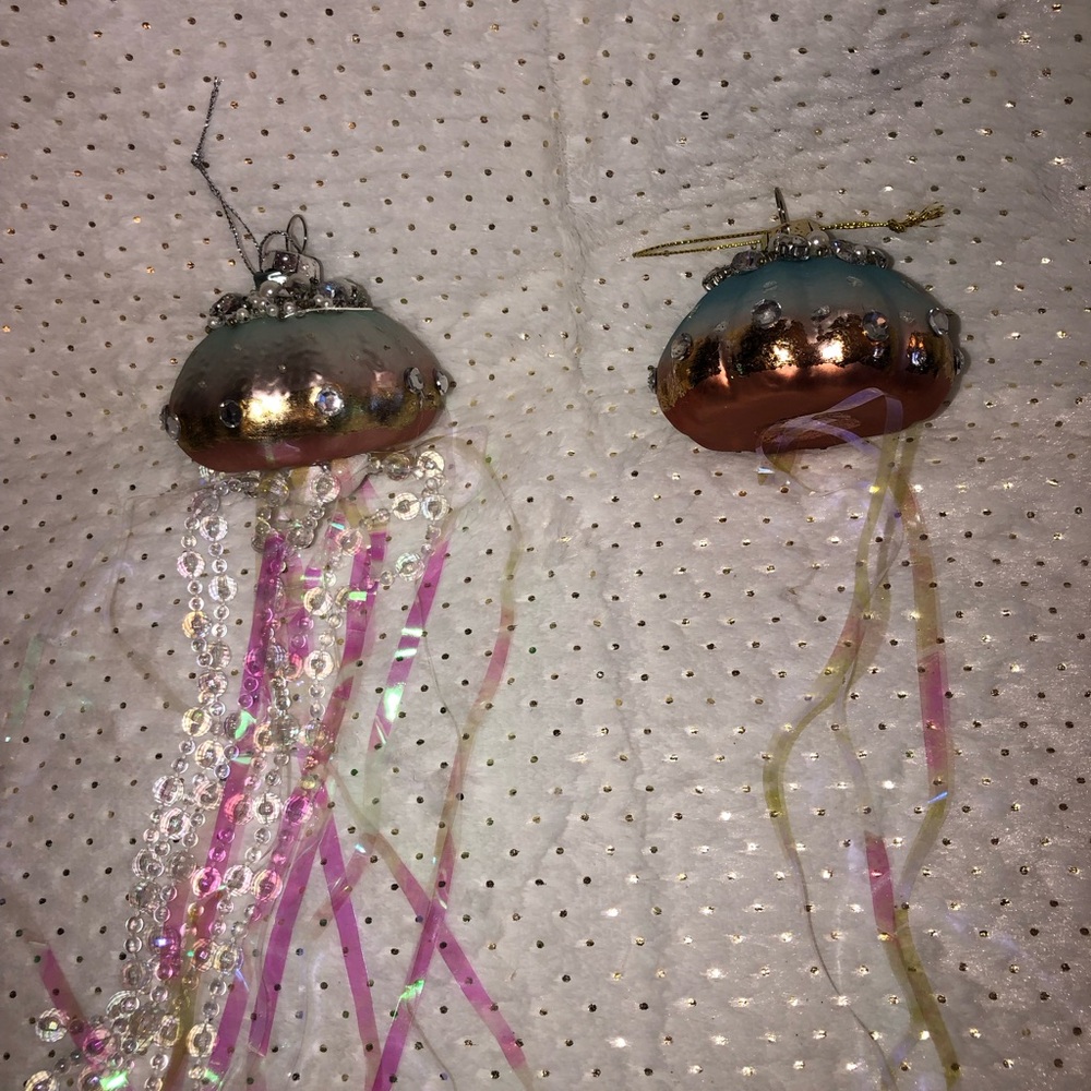 Ocean ornaments